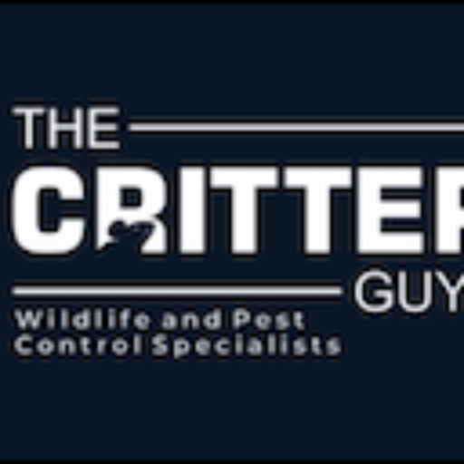 Rodent Removal West Palm Beach
